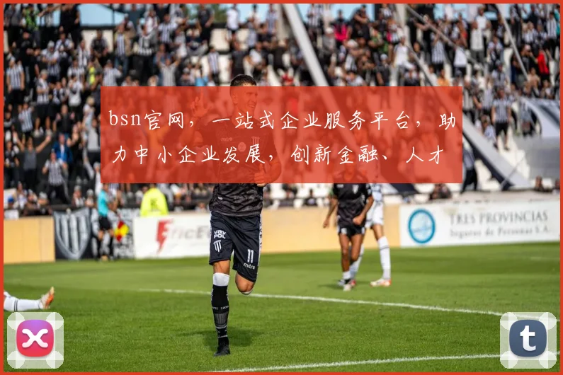 bsn官网，一站式企业服务平台，助力中小企业发展，创新金融、人才招聘、政策咨询，全方位支持