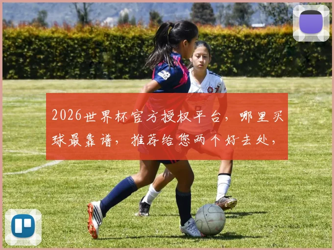 2026世界杯官方授权平台，哪里买球最靠谱，推荐给您两个好去处，不容错过