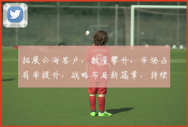 拓展公海客户，数量攀升，市场占有率提升，战略布局新篇章，持续创新，共筑辉煌。