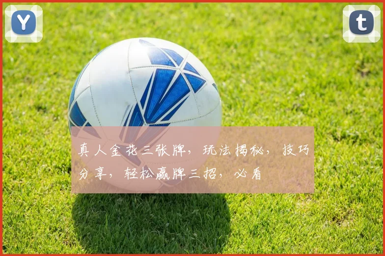 真人金花三张牌，玩法揭秘，技巧分享，轻松赢牌三招，必看